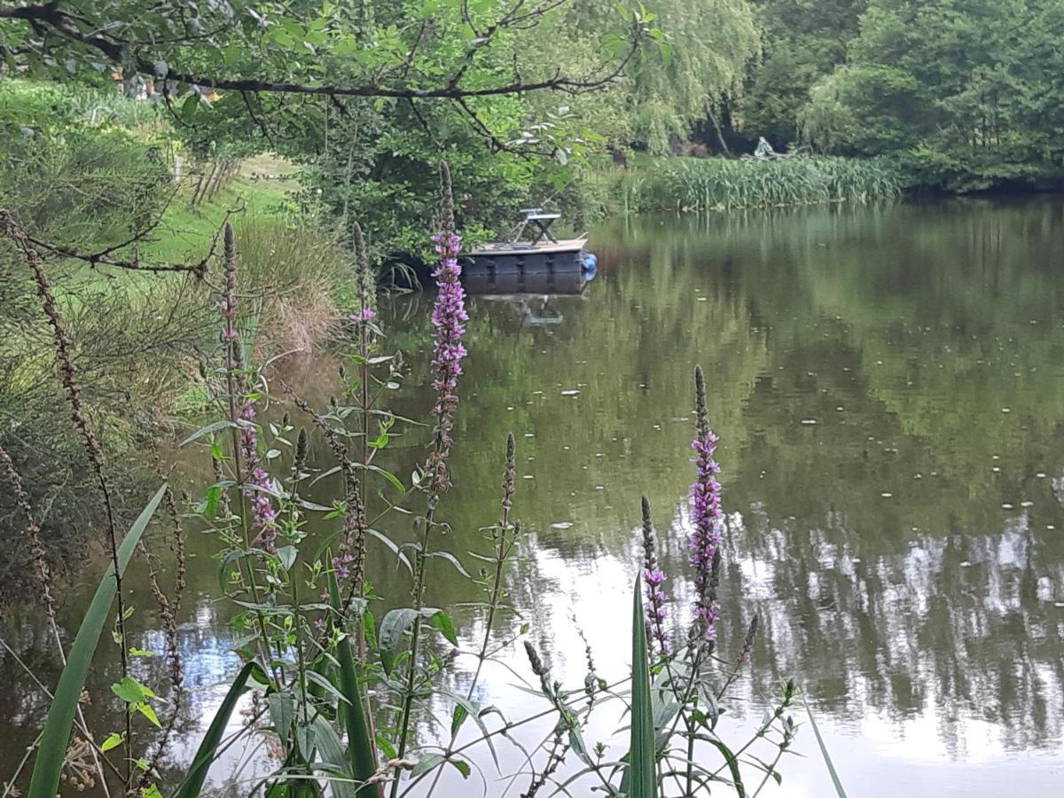 A Private Lakeside Retreat-Do You Love Nature Renac Exteriör bild